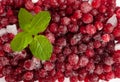 Frozen Lingonberry, Iced Cowberry, Snow Cranberry, Red Viburnum Berries, Frozen Lingonberry