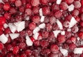 Frozen Lingonberry, Iced Cowberry, Snow Cranberry, Red Viburnum Berries, Frozen Lingonberry