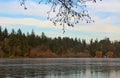 Frozen Lost Lagoon, Vancouver, Canada