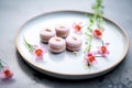 frozen macarons on a chilled plate with frost details