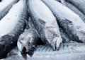 Frozen mackerel background. Frozen group of fish. Iced fish. Heap of mackerel. Mackerel pattern. Mackerel texture Royalty Free Stock Photo