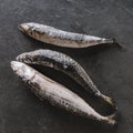 Frozen mackerel fish or sea bream on slate stone background. Seafood