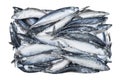 Frozen mackerel isolated. Frozen group of fish. Iced fish. Heap of mackerel isolated on white background. Mackerel pattern. Macker