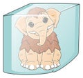 Frozen mamoth on the cube Royalty Free Stock Photo