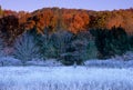 Frozen Meadow Horizantal