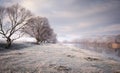 Frozen meadow near lake with trees in late november