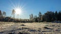 Frozen meadow a sunny cold day. Beautiful winter landscape Royalty Free Stock Photo