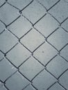 Frozen mesh Royalty Free Stock Photo