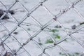 Frozen metal fence texture