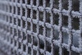 Frozen metal fence