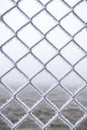 Frozen metal fence. Wire fence covered with snow Royalty Free Stock Photo