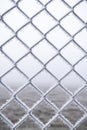 Frozen metal fence. Wire fence covered with snow