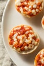 Frozen Mini PIzza Bagels