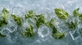 A frozen mint cube encased in transparent ice Royalty Free Stock Photo
