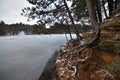 Frozen Mirror Lake state park trees clinging to the sandstone