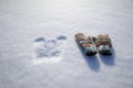 frozen mittens on the snow