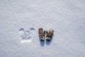 frozen mittens on the snow