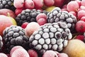 Frozen mixed berries, front view - red currant, white currant, blackberry, gooseberry and black currant Royalty Free Stock Photo