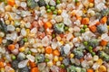 Frozen mixed vegetables including carrots, peas, corn, and broccoli, providing a convenient and nutritious meal option Royalty Free Stock Photo