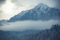 Frozen mountain peak