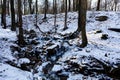 Frozen mountain river snow woods, Spa-Geronstere, Belgium Royalty Free Stock Photo