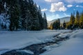 Frozen mountain river in spruce forest Royalty Free Stock Photo