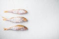 Frozen mullet or sultanka fish, on white stone table background, top view flat lay , with copy space for text Royalty Free Stock Photo