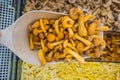 Frozen mushrooms, honey fungus on spatula