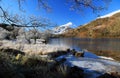 Frozen Nant Gwynant 265 Royalty Free Stock Photo