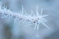 Frozen nature background. Blue background. High resolution photo.