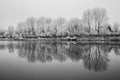 Frozen Nature By River Elbe-Celakovice, Czech Rep.