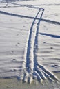 Frozen Neva river in Saint-Petersburg, Russia. Traces. Royalty Free Stock Photo