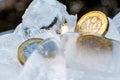 Frozen New British one pound sterling coin up close macro inside ice cubes