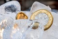 Frozen New British one pound sterling coin up close macro inside ice cubes