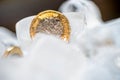 Frozen New British one pound sterling coin up close macro inside ice cubes