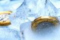Frozen New British one pound sterling coin up close macro inside ice cubes