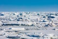 Frozen North Atlantic Ocean ice floes covering sea Royalty Free Stock Photo