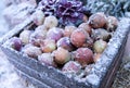 Frozen onions in a wooden crate in winter time