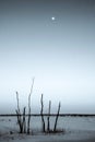 Frozen open field with full moon Royalty Free Stock Photo