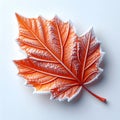 Frozen Orange Autumn Leaf Covered in Frost on Smooth White Surface Royalty Free Stock Photo