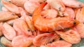 Frozen orange shrimp close-up of a horizontal frame. Royalty Free Stock Photo