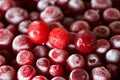 Frozen organic cowberry