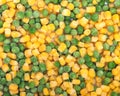 Frozen organic peas and corn Royalty Free Stock Photo