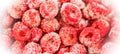 Frozen organic raspberry in white frosty frame close up. View from above. Banner