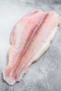 Frozen pangasius fish fillet. Gray background. Top view