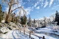 Frozen Park Landscape Royalty Free Stock Photo