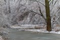 Frozen path.