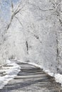 A Frozen Pathway Royalty Free Stock Photo