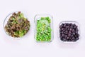 Frozen peas, lettuce and blueberries in glass lunch boxes on pink background close-up, top view. Royalty Free Stock Photo