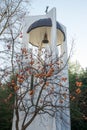 Frozen persimmon from the bell tower of the church of St. Petka in Rupite, Bulgaria Royalty Free Stock Photo